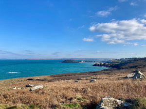 A faraway view of St Ives from the coast path, in the foreground is countryside with the path winding through.