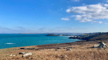 A faraway view of St Ives from the coast path, in the foreground is countryside with the path winding through.